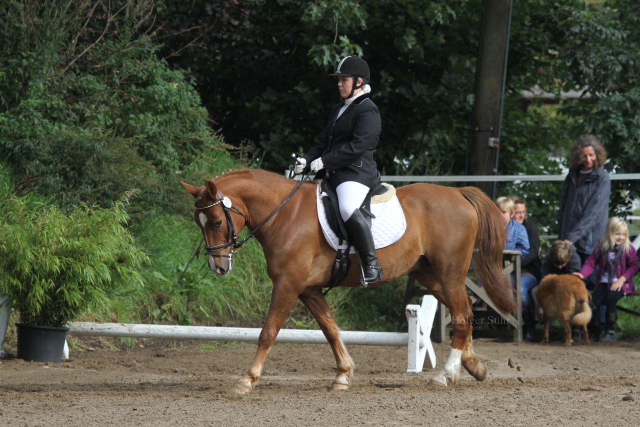 Bild 108 - WBO-Turnier am 18.9.11